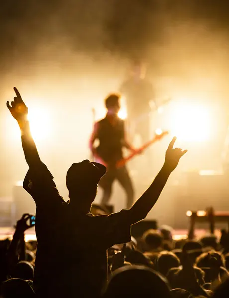 Pubblico davanti al palco di un concerto a Milano